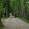 Tour 14: Darß - 3